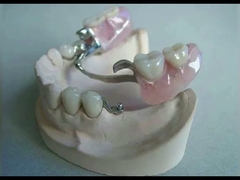 Strong Precision Attachment Denture Firm Denture Customized FDA