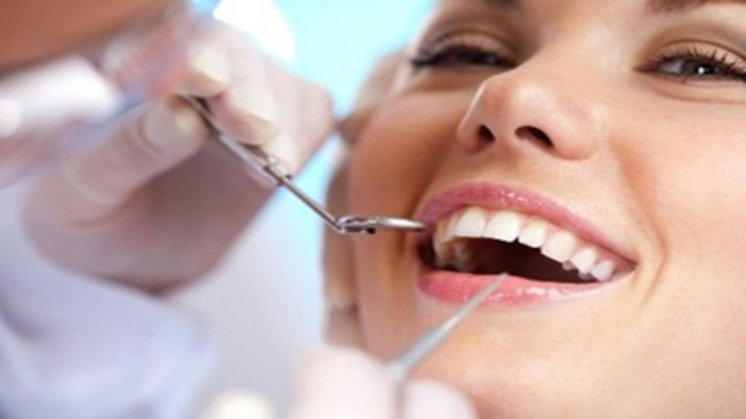 КИТАЙ China C B Dental Lab Co. Limited Профиль компании