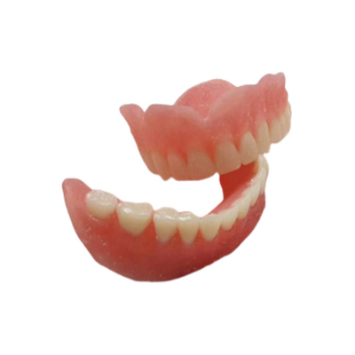 Модели цифров ровной поверхностной резиновой лаборатории Denture OEM зубоврачебной зубоврачебные
