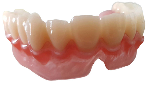 Реалистический OEM 3D цифровых данных напечатал зубоврачебные модели для исследования дантиста