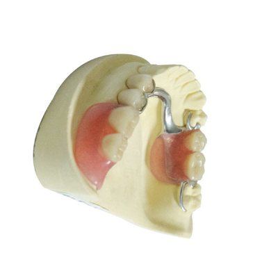 Dentures профессиональных зубоврачебных продуктов лаборатории акриловые съемные частично
