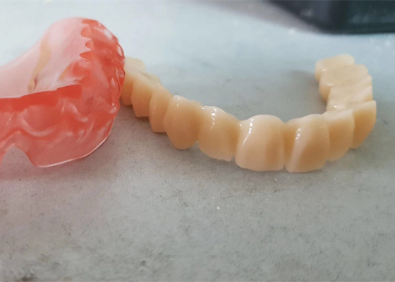 Реалистический OEM 3D цифровых данных напечатал зубоврачебные модели для исследования дантиста