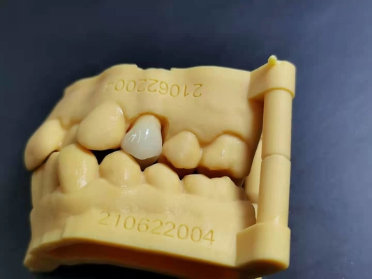 OEM 3D печатая дизайн цифров лаборатории гибкого акрилового Denture зубоврачебный
