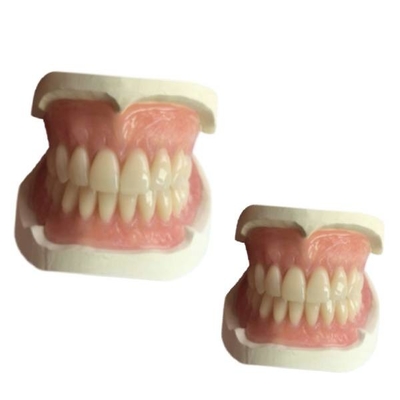 Лаборатория CAM резиновое 3D Denture CAD зубоврачебная напечатала тень Natrural кроны зуба