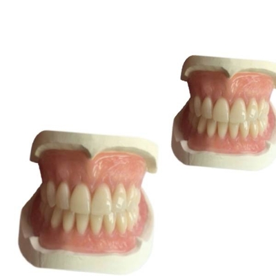 Лаборатория CAM резиновое 3D Denture CAD зубоврачебная напечатала тень Natrural кроны зуба