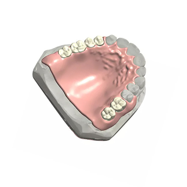 Модель цвета 3D съемного зубоврачебного частично Denture естественная зубоврачебная подгоняла